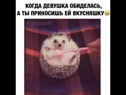 девочка злая картинка