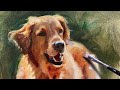 Golden Retriever Oil Painting | How to Paint Dogs Alla Prima