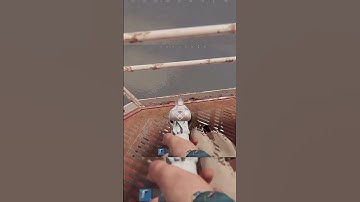 Force Wipe Revolver To HMLMG #shorts #rust