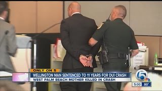 Wellington man sentenced to 11 years for DUI crash