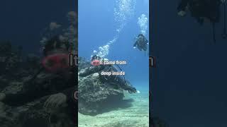 The Ocean Sound Scientists Still Can't Explain #shorts