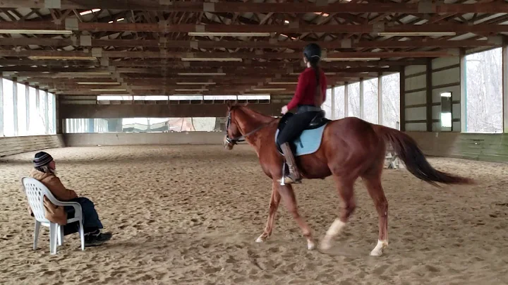 Deborah Buchanan With Calvin OTTB. #1