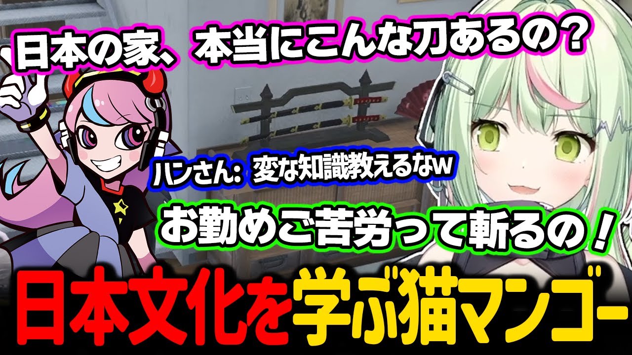 猫マンゴーに間違った日本文化を教えるひのらん【日ノ隈らん / ストグラ 切り抜き】