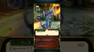 黒猫 クルイサ シークレット