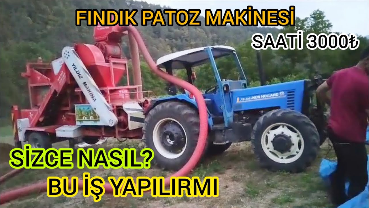 FINDIK PATOZ YAPMA İŞLEMİ ZORLU ANLAR!!