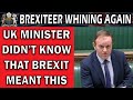 Minister Whining That Brexit Means Brexit