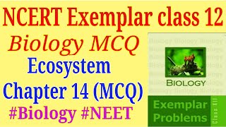 Ecosystem class 12 ncert exemplar mcq for NEET exam