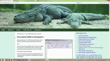 Formatting Json With Notepad ++ Tutorial