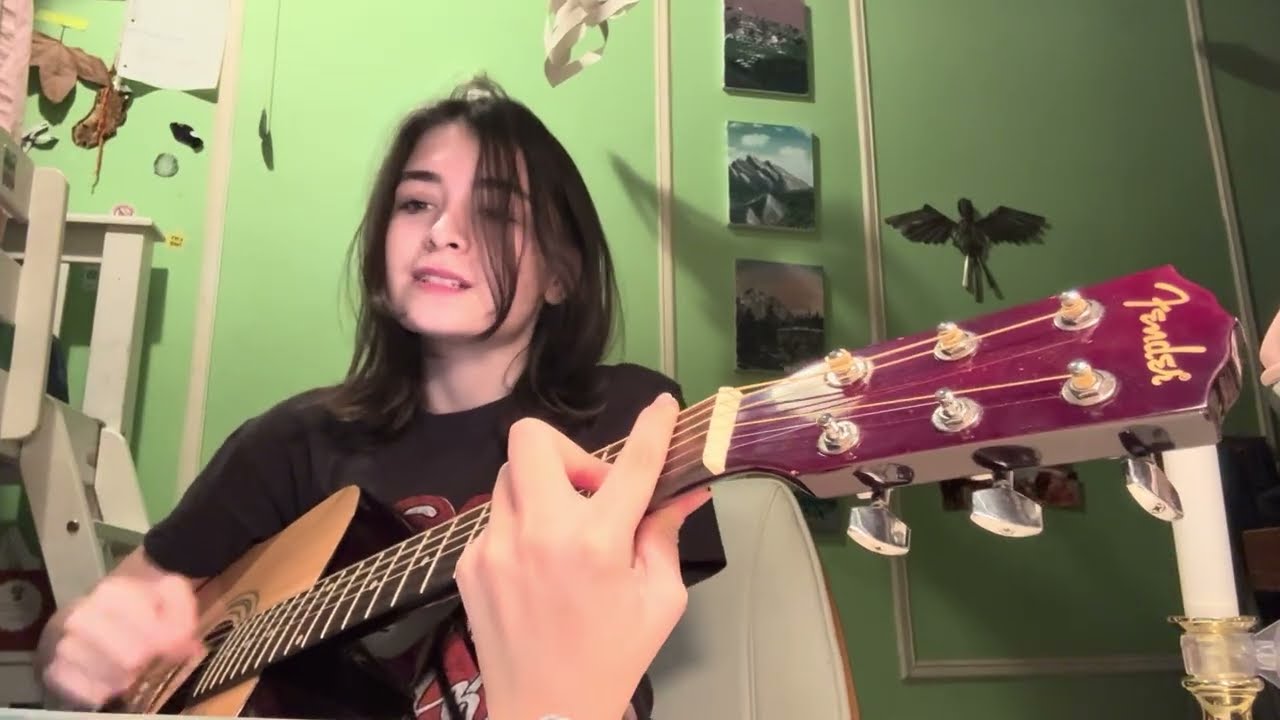 House of the Rising Sun cover 