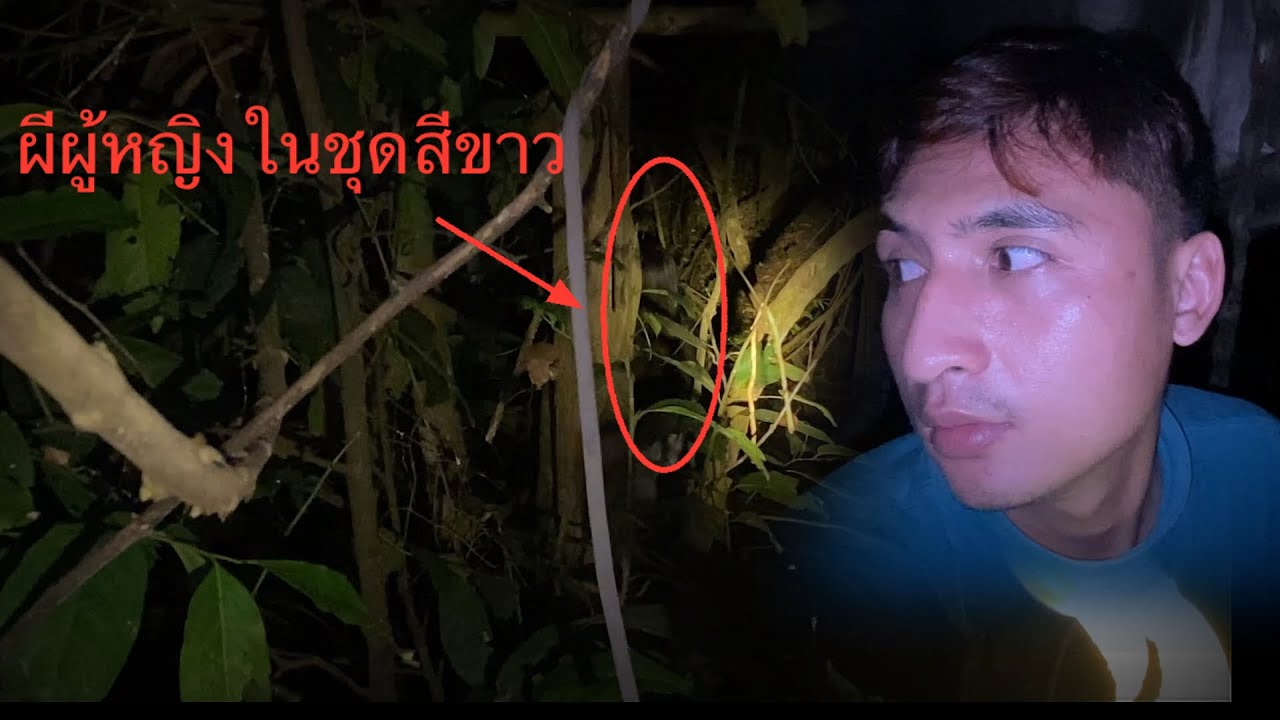 นอนป่าทึบรก ￼ กลางคืนมีผู้หญิงผมยาวชุดขาวมายืนอยู่ใต้ต้นไม้