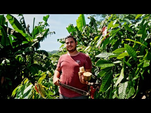 Voices from Nicoya: Restoring a vital ‘biological corridor’