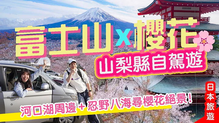 日本山梨自驾游ep1🗻河口湖樱花祭🌸最代表日本的神社!! 新仓富士浅间神社⛩️ 超值得去的4大赏樱景点！ #山梨县 #日本旅游 #富士山 - 天天要闻