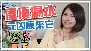 空中花園？　屋頂漏水元凶原來是它！｜邱愛莉 House123