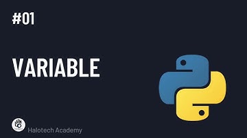 Learn Python Basics - #01 Variables