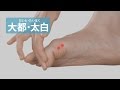 ツボ・大都(だいと)・太白(たいはく)
