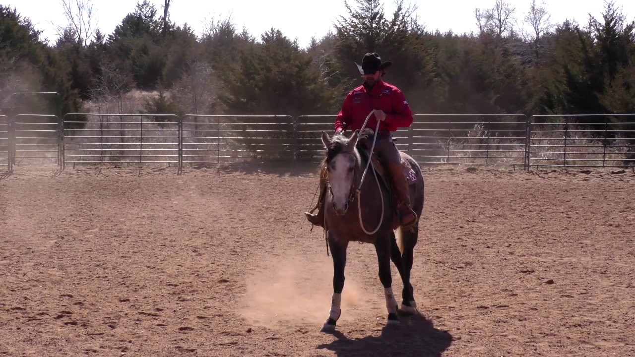 Introduction to Lead Departures S07E01 of Ridin' Horses with Kerry Kuhn