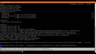 PostgreSQL10 Installation: How to install PostgreSQL on Redhat Linux