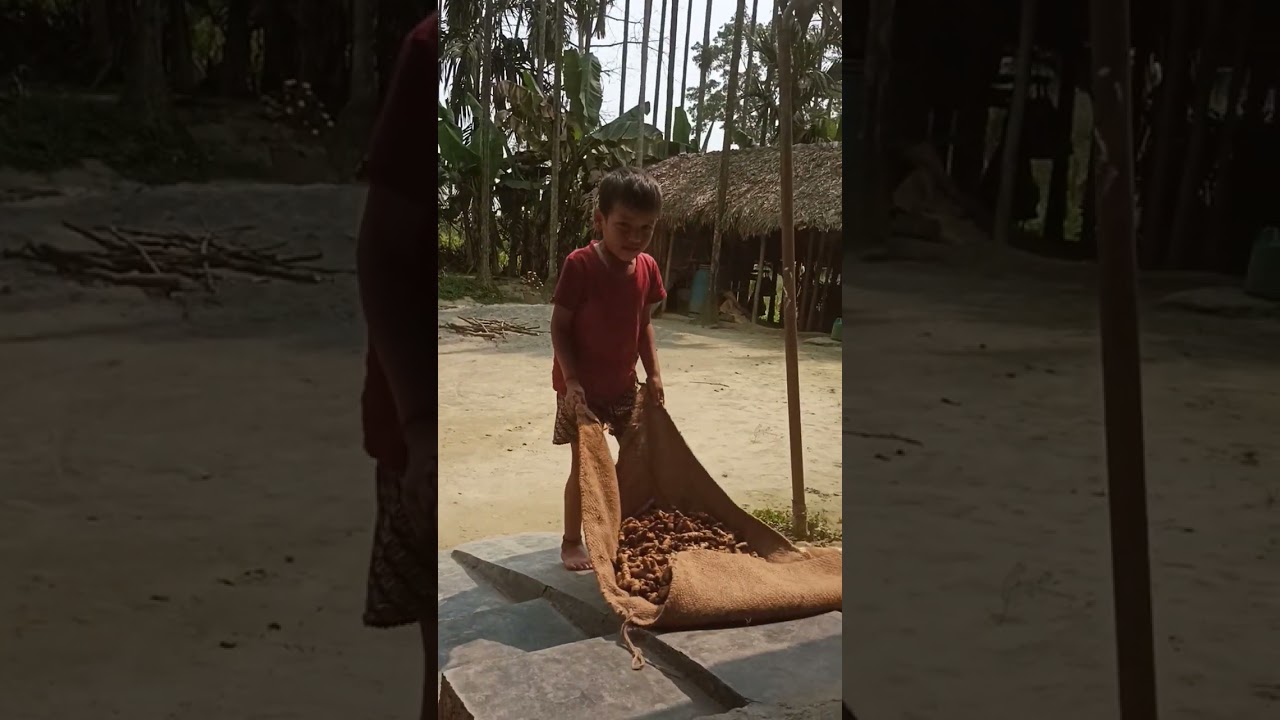 school nojada gharma