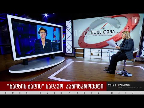 „ხალხის ძალის“ სადავო საკანონმდებლო ინიციატივა - ინტერვიუ ხათუნა სამნიძესთან  #დღისთემა