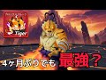【blox fruits】タイガーフルーツって誰が使っても最強やろww【ロブロックス】【ブロックスフルーツ】