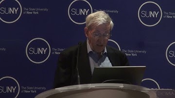 Charles Nicholson Brain Impedance, Stimulation, and Extrecellular Space