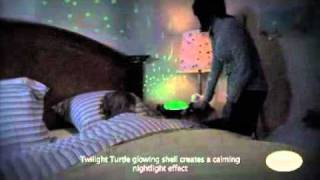 Twilight Constellation Night Light