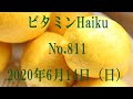 耳と目と口で楽しむ、今日の俳句。ビタミンHaiku。No.811。2020年6月14日（日曜日）
