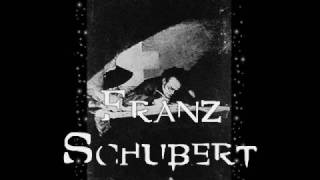 Franz Schubert Melody Mix Beat