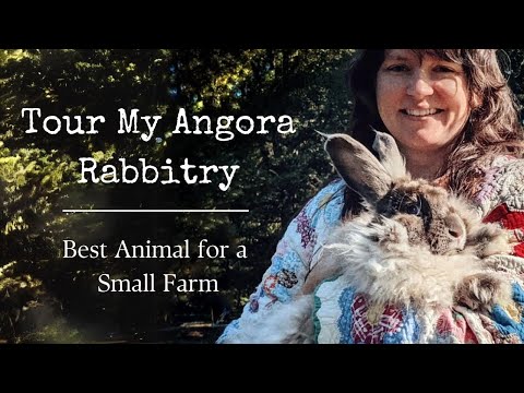 Best Animal For Small Fiber Farm Tour My Angora Rabbitry
