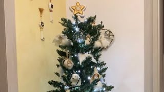 Celebrity Albero di Natale   SLIM.   Thun 2019 Net Worth