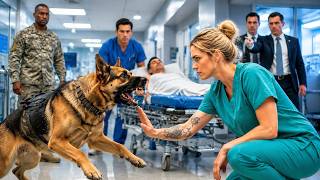 War Dog Refused Every Doctor—Until a Night Nurse's Wrist Tattoo Exposed Her Secret Military Past