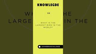 What is the largest bird in the world? #challenge #starquiz #quiz #knowledge screenshot 5