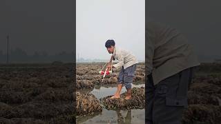 Download Lagu Amazing Bamboo Crossbow Fishing ||😲 Challenge video ||👋(part-03)#fishing #challenge #ytshorts #fish MP3