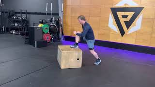 Burpee Box Step Overs