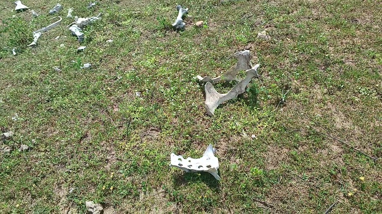 Vídeo número 3.842