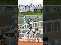 Mutwakel Alkhalediah takes Race 4 (120,000 SAR) Alshafa Cup Race Meeting 12 🐎🇸🇦 | #TaifSeason