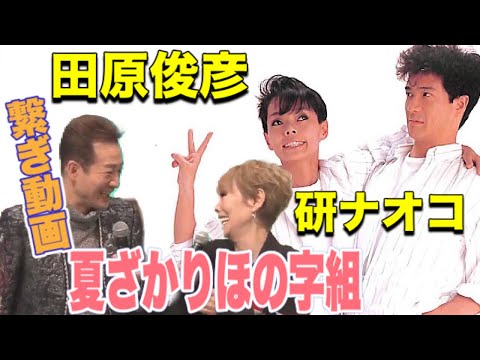 【繋ぎ動画🎥】☀️ 夏ざかりほの字組 💏 田原俊彦 🕺 研ナオコ 💃🏻