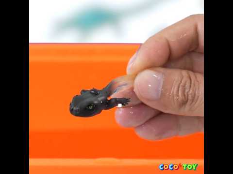 I took frog <strong>eggs</strong> out <strong>of</strong> the pond and raised them... #shorts｜CoCosToy