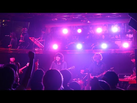 関西外国語大学軽音楽部 マカロニえんぴつ 夏合宿2023 ミニライブ