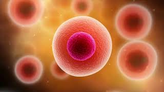 Introduction to Anatomy & Physiology | Homeostasis, Body Systems & Medical Imaging