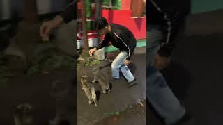 wkwkwk php #trending