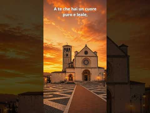 Video 4 ottobre San Francesco! Buon Onomastico