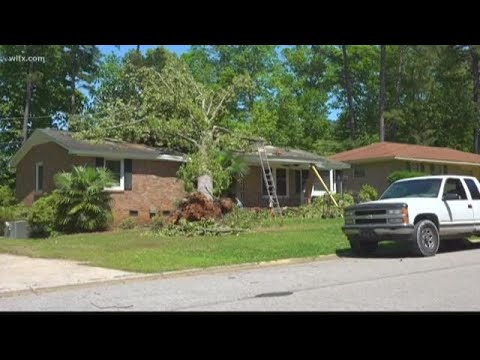 Lexington county suffers some storm damage - YouTube