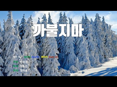 [은성 반주기] 까불지마 - 이유경