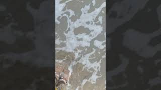 அலையின் ஸ்பரிசம் 😍 #trending #beach #travel #viralsong #trendingsong #music #naturelovers #song