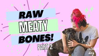 Raw Meaty Bones Part 2