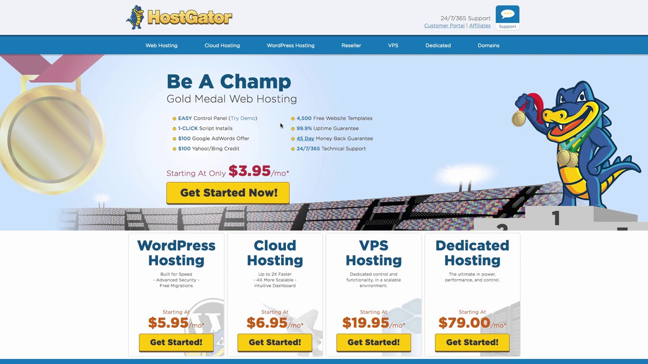 Lifetime Hosting - Review