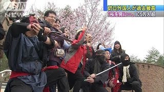 訪日外国人過去最高に　桜を見に・・・105万人超(14/04/23)