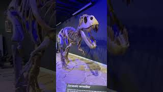 Mesalands Dinosaur Museum