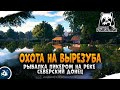 Рыбалка на реке Северский Донец. Охота на Вырезуба.